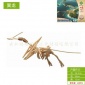 翼龙 木质3d立体拼图 儿童益智玩具手工diy木制仿真动物模型