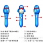 好家教点读笔学习机 点读机 故事机 录音笔 复读机 U盘 MP3一体机